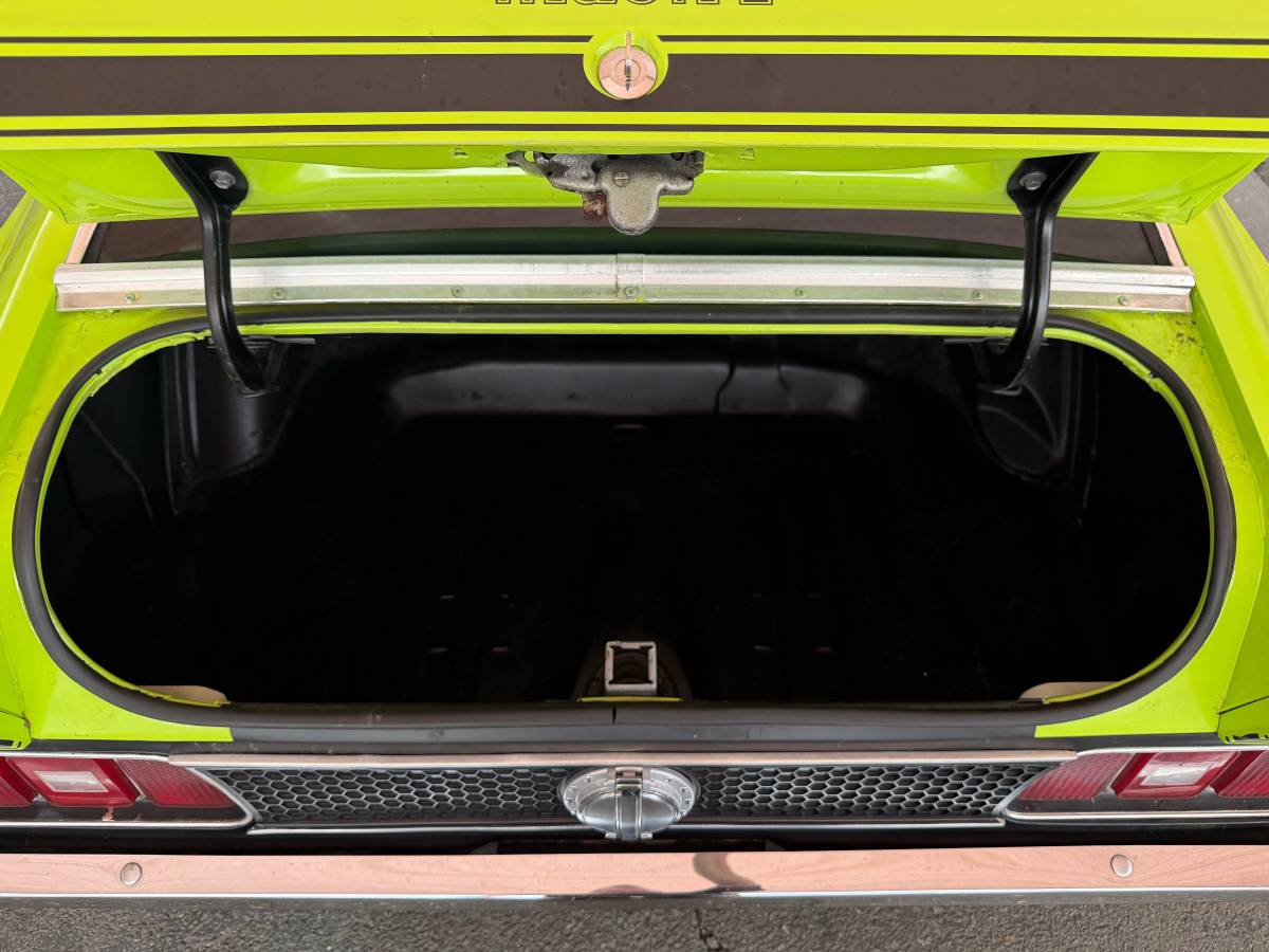 Ford-mustang-mach-1-1971-green-11