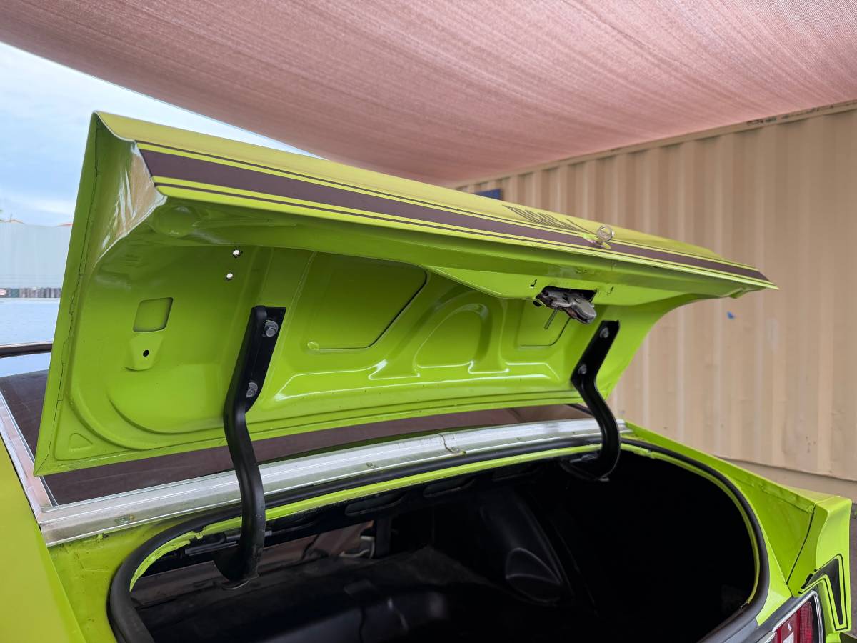 Ford-mustang-mach-1-1971-green-12