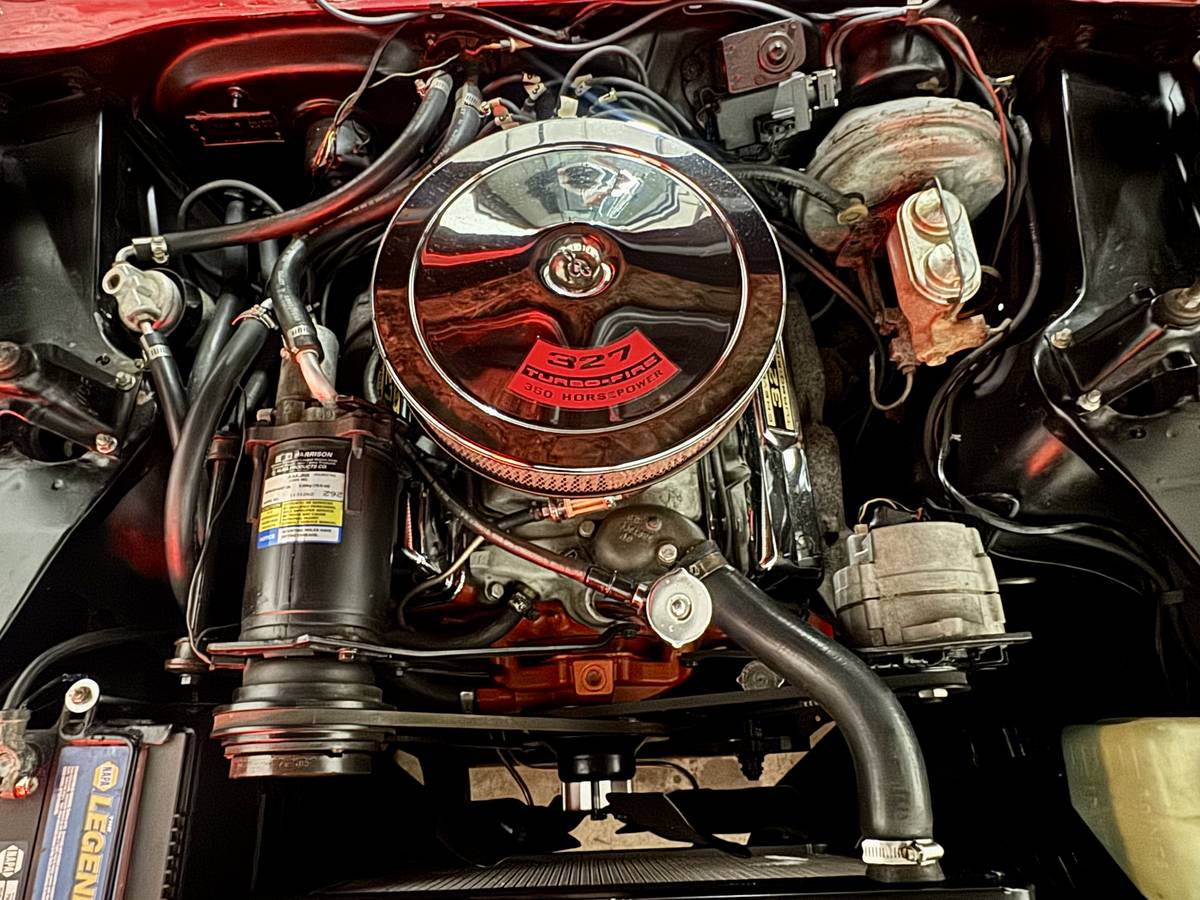 Ford-mustang-shelby-gt350-1967-18