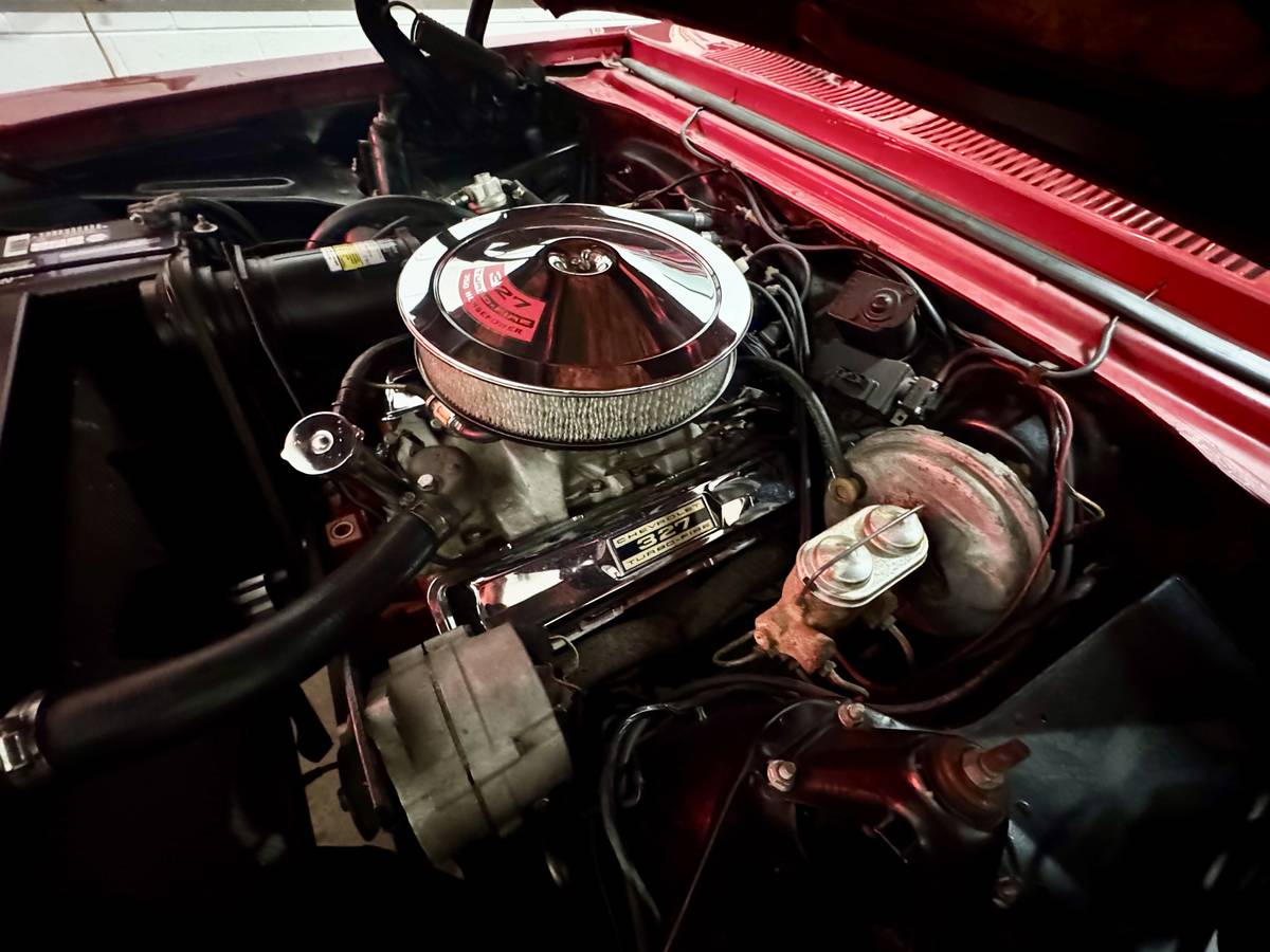 Ford-mustang-shelby-gt350-1967-19