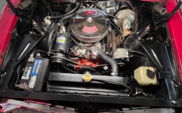 Ford-mustang-shelby-gt350-1967-20