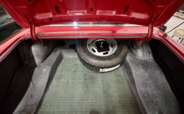 Ford-mustang-shelby-gt350-1967-23