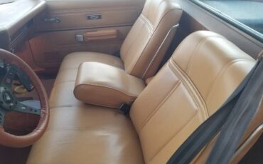 Ford-ranchero-500-1979-6