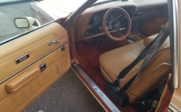 Ford-ranchero-500-1979-8