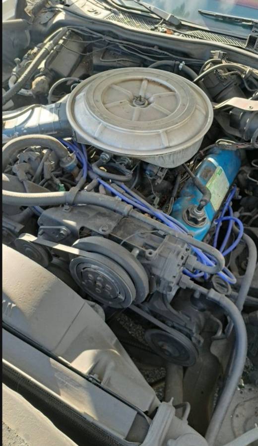 Ford-ranchero-gt-1978-white-6