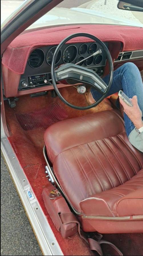 Ford-ranchero-gt-1978-white-7