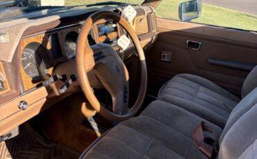 Ford-ranger-1988-brown-5
