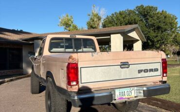 Ford-ranger-1988-brown-7
