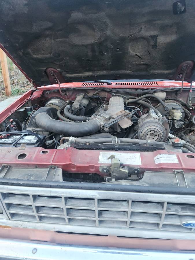 Ford-ranger-1988-red-5