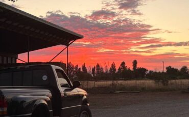 Ford-ranger-1993-black-2