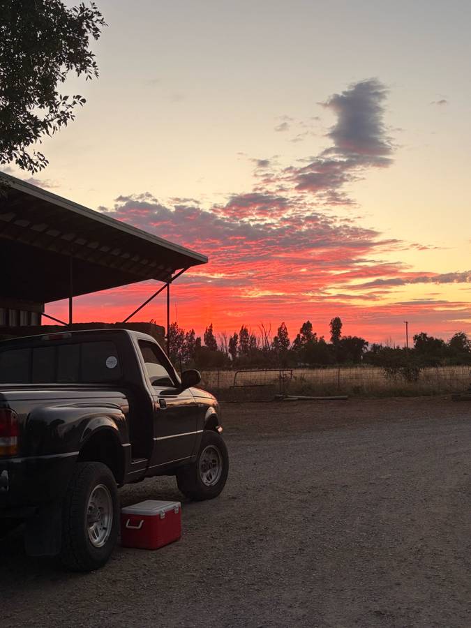 Ford-ranger-1993-black-2