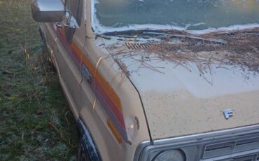 Ford-short-van-readycamp-1978-yellow-3