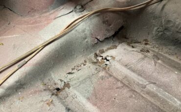 Ford-thunderbird-1956-red-20