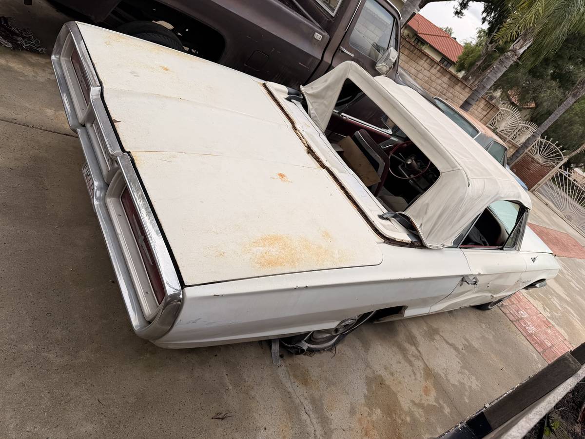 Ford-thunderbird-1964-5