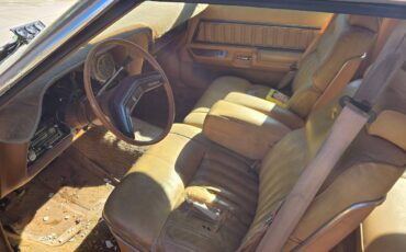 Ford-thunderbird-1978-yellow-3