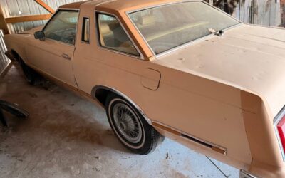 Ford thunderbird 1979