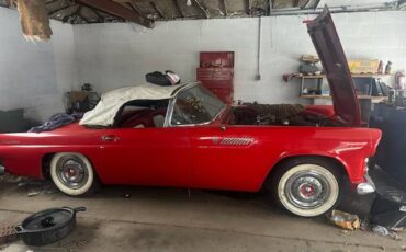 Ford-thunderbird-convertible-1955