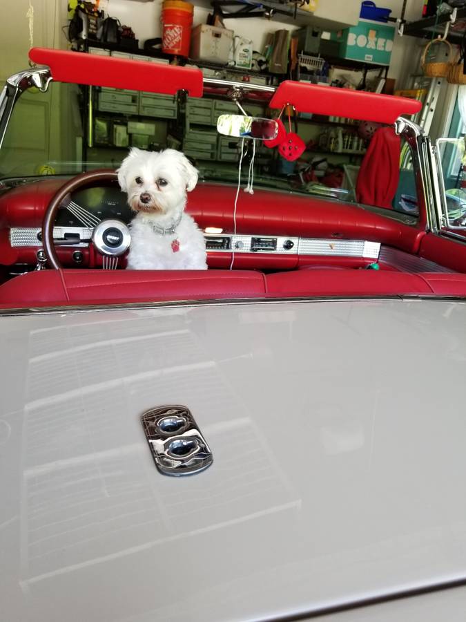 Ford-thunderbird-convertible-1955-custom-1