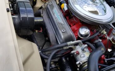 Ford-thunderbird-convertible-1955-custom-22