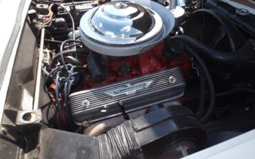 Ford-thunderbird-convertible-1955-white-19