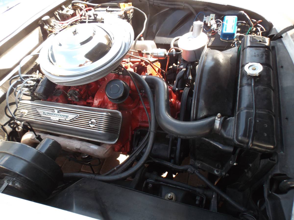 Ford-thunderbird-convertible-1955-white-20