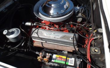 Ford-thunderbird-convertible-1955-white-9