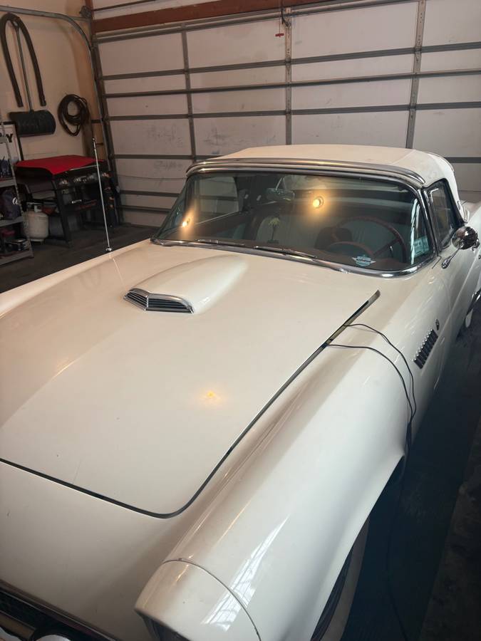 Ford-thunderbird-convertible-1956-white-1