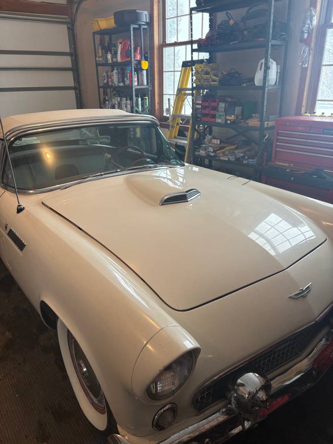 Ford-thunderbird-convertible-1956-white-2