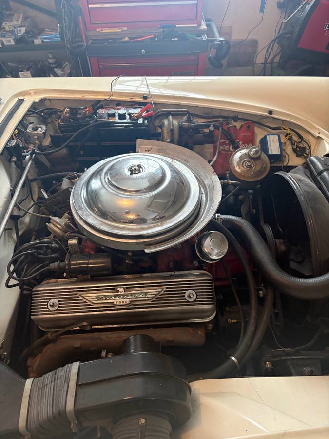 Ford-thunderbird-convertible-1956-white-6