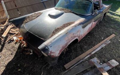 Ford thunderbird convertible 1957