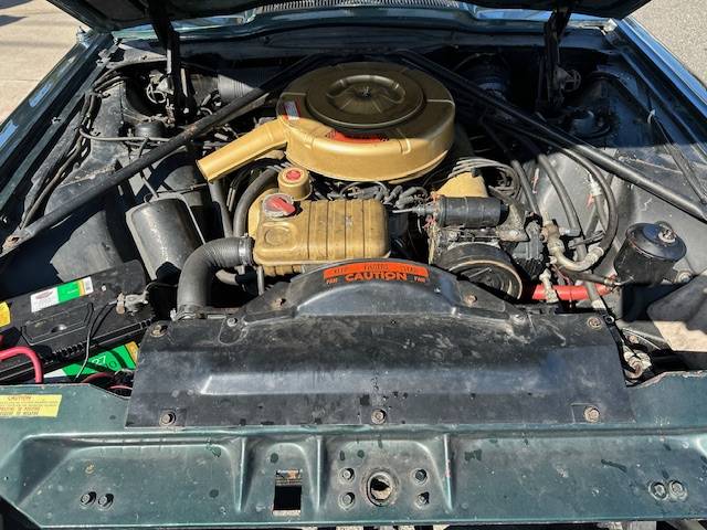 Ford-thunderbird-convertible-1964-green-7