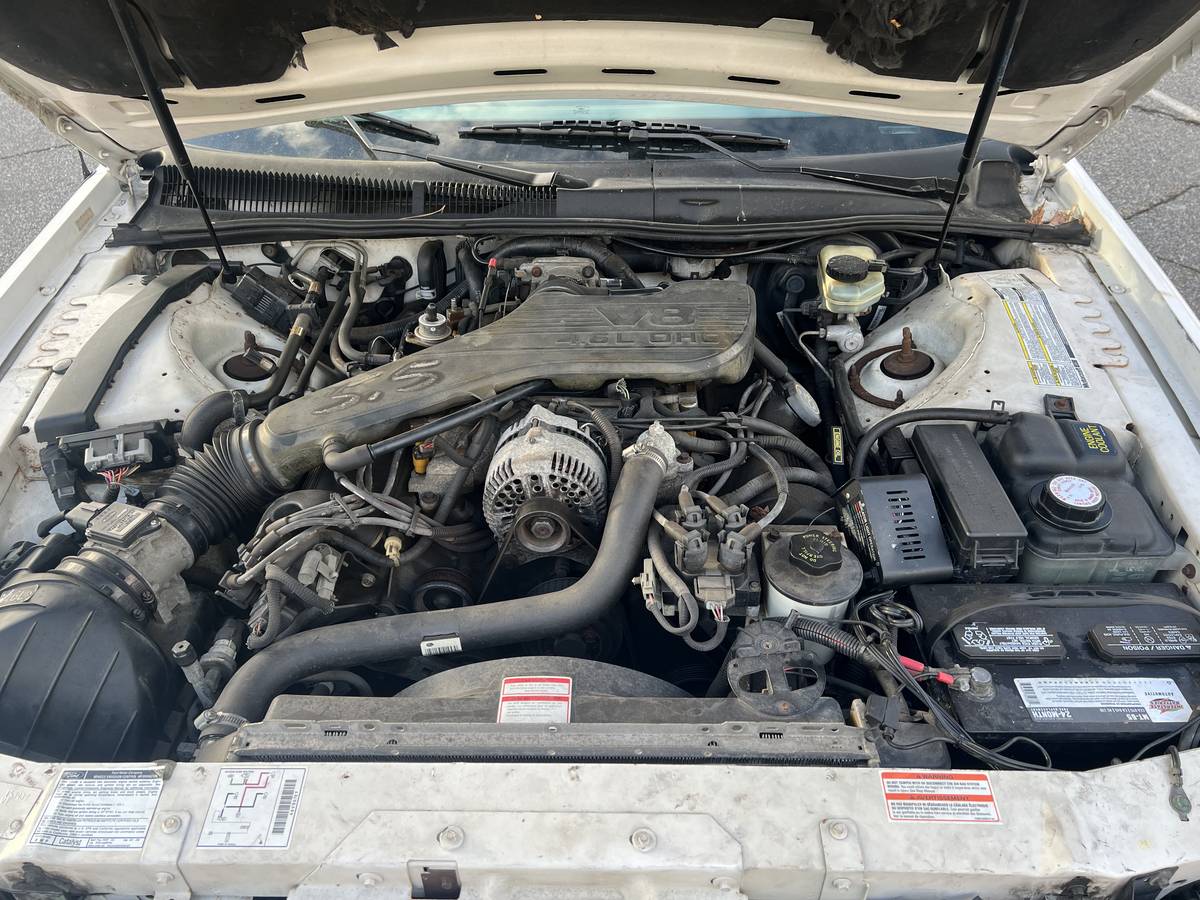 Ford-thunderbird-coupe-1994-white-15