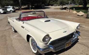 Ford-thunderbird-roadster-1957-white