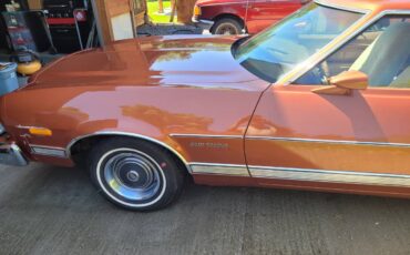 Ford-torino-1973-brown-1