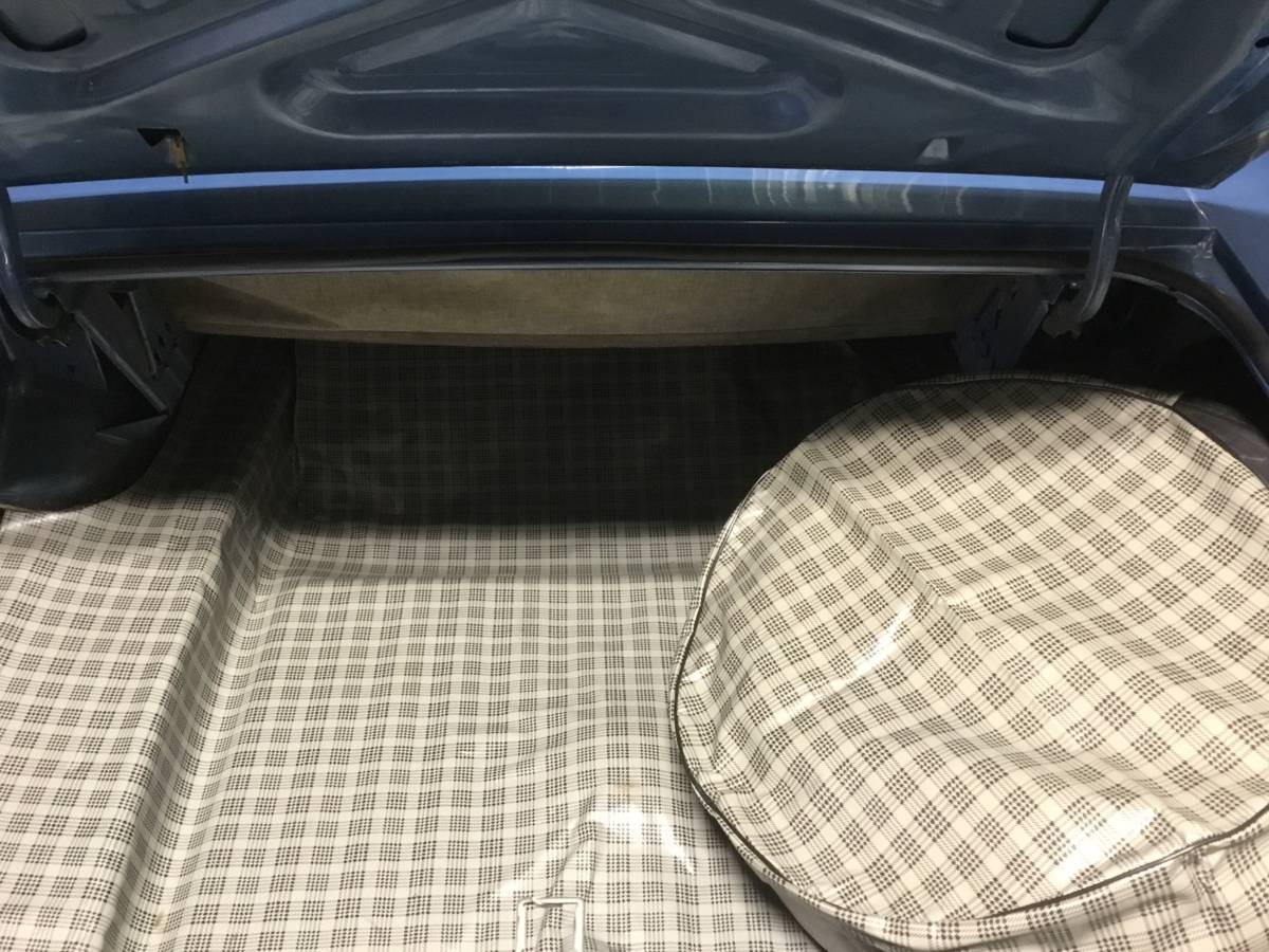 Ford-torino-gt-convertible-1971-blue-15