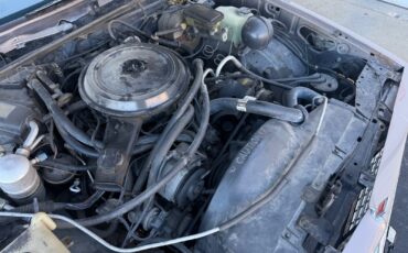 GMC-Caballero-1984-Standard-Cab-Pickup-18