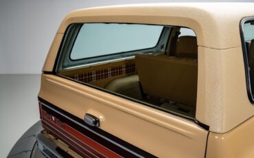 GMC-Jimmy-1979-SUV-24