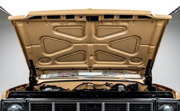 GMC-Jimmy-1979-SUV-34