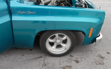 GMC-Other-1979-Standard-Cab-Pickup-1