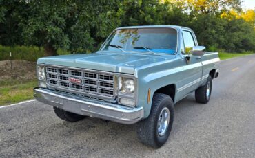 GMC-Other-1979-Standard-Cab-Pickup-1