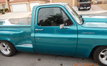 GMC-Other-1979-Standard-Cab-Pickup-10