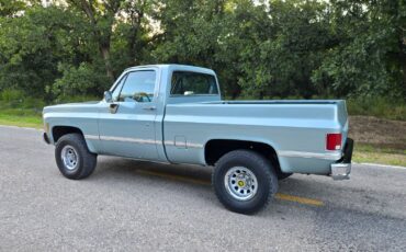 GMC-Other-1979-Standard-Cab-Pickup-10