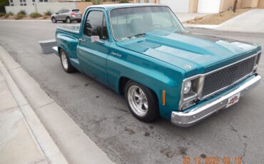 GMC-Other-1979-Standard-Cab-Pickup-11