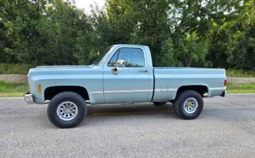 GMC-Other-1979-Standard-Cab-Pickup-11