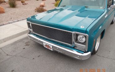 GMC-Other-1979-Standard-Cab-Pickup-12