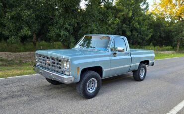 GMC-Other-1979-Standard-Cab-Pickup-12