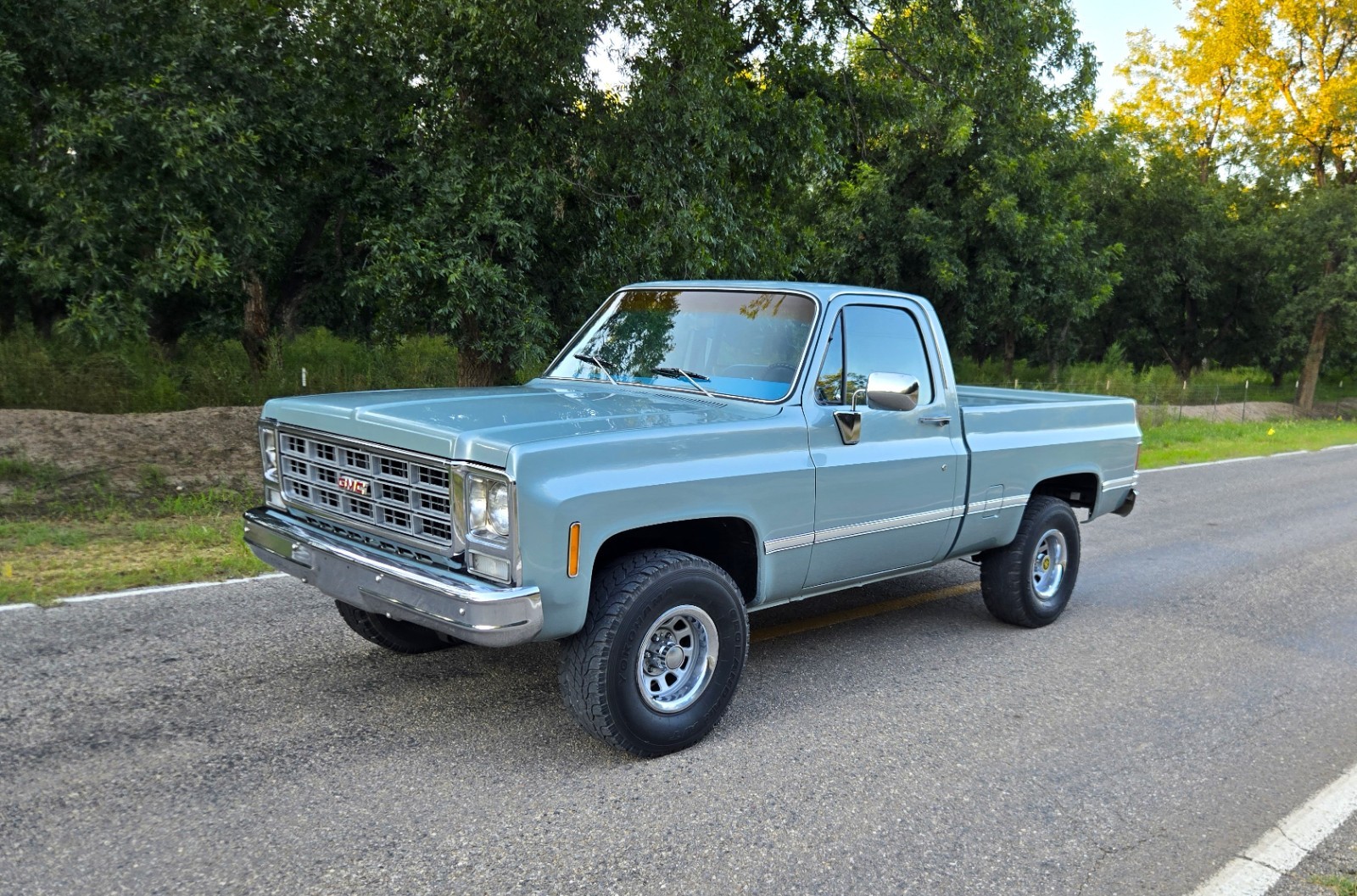 GMC-Other-1979-Standard-Cab-Pickup-12