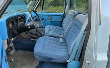 GMC-Other-1979-Standard-Cab-Pickup-15