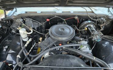 GMC-Other-1979-Standard-Cab-Pickup-19