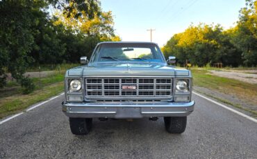 GMC-Other-1979-Standard-Cab-Pickup-2